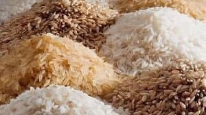 high-labour-costs-and-import-duties-major-challenge-in-local-rice-production