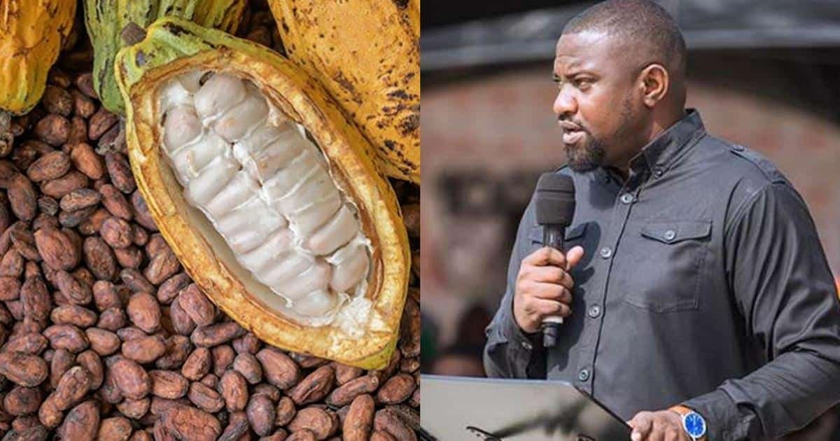 stop-galamsey-now-to-protect-ghanas-cocoa-industry-john-dumelo