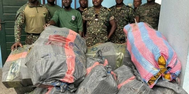 volta-region-gis-seizes-about-900-slabs-of-indian-hemp