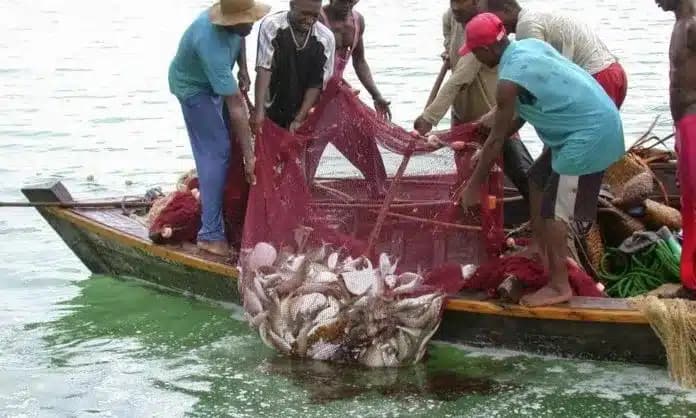 govt-suspends-closed-season-for-artisanal-fishers-this-year