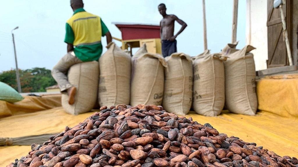 cocoa-smuggling-surges-due-to-global-market-volatility-cocobod-ceo