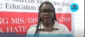 Tackling misinformation is key to protecting Ghana's peace - NCCE