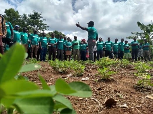 Appoint a youthful Agric Minister with experience - PFAG urges Mahama