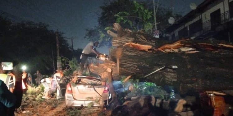 Driver injured after tree fell on his car at East Legon